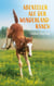 Abenteuer auf der Wunderlandranch - Magisches Pferdeabenteuer voller Freundschaft und Mut