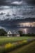 The Power and Beauty of Nature - Danni Visits a Farm in Texas, #1