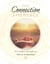 Connection Experience - The Connection Collection