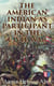 The American Indian as Participant in the Civil War - The Slaveholding Indians Series