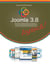Joomla 3.8 logisch! - Einfache Webseitenerstellung ohne Programmierkenntnisse