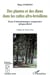DES PLANTES ET DES DIEUX DANS LES CULTES AFRO-BRESILIENS - Essai d'ethnobotanique comparative Afrique-Brésil