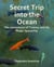 Secret Trip into the Ocean - The Adventures of Tommy and His Magic Spaceship