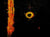 Orangel: The Orange Angel