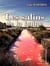 Les salins de la haine - Roman historique