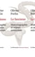 Le fascisme - Historiographie et enjeux mémoriels