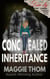 Concealed Inheritance - The Family Heir Looms Suspense Thriller Series, #1
