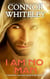 I Am No Man: A Romantic Fantasy Adventure Novella - The Cato Dragon Rider Fantasy Series