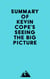 Summary of Kevin Cope's Seeing the Big Picture