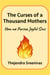 The Curses of a Thousand Mothers - How We Pursue Joyful Sins - An Executive Self Help Novel, #6