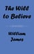 The Will to Believe