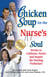 Chicken Soup for the Nurse's Soul - Stories to Celebrate, Honor and Inspire the Nursing Profession