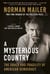 A Mysterious Country - The Grace and Fragility of American Democracy