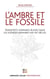L'ambre et le fossile - Transferts germano-russes dans les sciences humaines XIXe-XXe - Transferts germano-russes dans les sciences humaines XIXe-XXe siècles