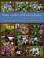 Some Violets of Eastern Japan