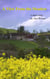 A View From the Meadow: A Short Story