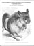 Edna Rabbit’s Choice: Stories for Partnered Paired Reading