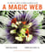 A Magic Web - The Tropical Forest of Barro Colorado Island