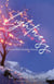 Lightness - A Gaggle of Stories, #5