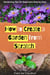 How to Create a Garden from Scratch: Gardening tips for beginners step by step