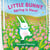 Little Bunny, Spring Is Here!