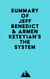 Summary of Jeff Benedict & Armen Keteyian's The System
