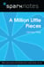 A Million Little Pieces (SparkNotes Literature Guide)