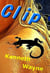 Clip