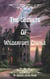 The Secrets of Wilderfort Castle - The Wilderfort series, #1