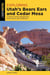 Exploring Utah's Bears Ears and Cedar Mesa - A Guide to Hiking, Backpacking, Scenic Drives, and Landmarks
