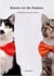 Katzen vor der Kamera - So fotografieren wir unsere Katzen