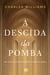 A Descida da Pomba - Uma breve história do Espírito Santo na Igreja
