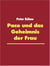 Paco und das Geheimnis der Frau