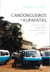Candongueiros e Kupapatas - Acumulação, Risco e Sobrevivência na Economia Informal de Angola