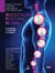 Reeducação Postural Global - A tradição, o presente e o futuro
