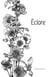 Éclore