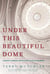 Under This Beautiful Dome - A Senator, A Journalist, and the Politics of Gay Love in America