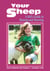 Your Sheep - A Kid's Guide to Raising and Showing