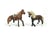 Mes premiers chevaux Paso Péruvien - Schleich