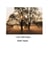 I Am Still Here - Four essays about Love,Loss and Perseverions., #5