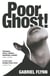 Poor Ghost! - 'Place, belonging, failure, ambition . . . beguilingly readable' Wendy Erskine
