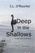 Deep in the Shallows