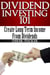Dividend Investing 101 Create Long Term Income from Dividends