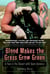 Blood Makes the Grass Grow Green - A Year in the Desert with Team America