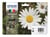 Epson 18 Multipack - Cartouche d'encre - pack de 4 - noir, jaune, cyan, magenta