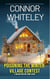 Poisoning The Winter Village Contest: A Holiday Mystery Crime Short Story
