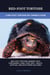 Red-Foot Tortoise