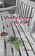Haunted Decisions of the Heart - Charlotte's Voices of Mystery, #2