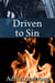 Driven to Sin - A Kinky Collection, #14