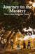 Journey To The Mastery - Power Colors Short Tales, #2